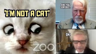 Zoom Cat Lawyer I M Not A Cat Know Your Meme