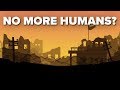 What Would Happen If All Humans Went Extinct?