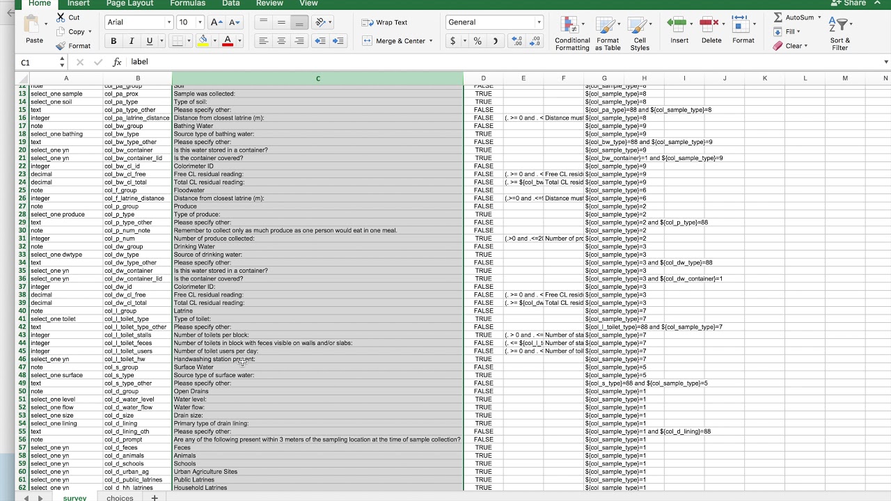 6. Advanced Users: KoBo Survey Editing