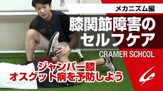 膝関節障害のセルフケア ジャンパー膝 オスグット病を予防しよう メカニズム編 Cramer School Youtube