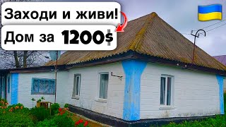 🇺🇦 Заходи и живи! Дом в селе за 1200$ Продажа недвижимости за копейки Всё есть! Уютное тихое село!