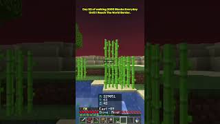 Day 52 of walking 2000 Blocks Every day until I reach the World Border. #minecraft #fypminecraft