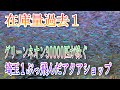在庫量過去1‼グリーンネオン30000匹が泳ぐ埼玉1ぶっ飛んだアクアショップ‼ 【AQUA Revelation J.B. (旧白猫)】アクアリウム グリーンネオンテトラ