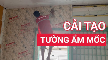 Cải tạo tường ẩm mốc bằng tấm nhựa giả đá | Tấm nhựa ốp tường chống ẩm mốc