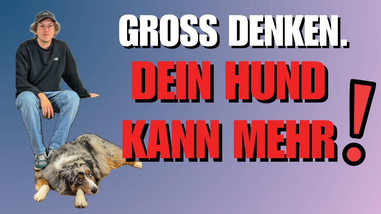 Das Geheimnis erfolgreicher Hundehalter: Groß denken im Hundetraining! 💥