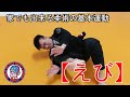 柔術基本ムーブ【えび】