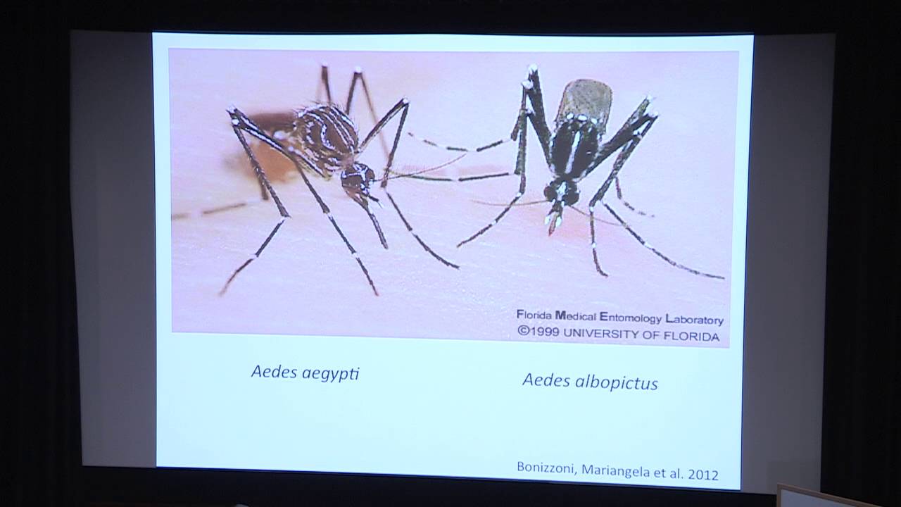 Institute for continued Learning - Dengue Fever in the United States