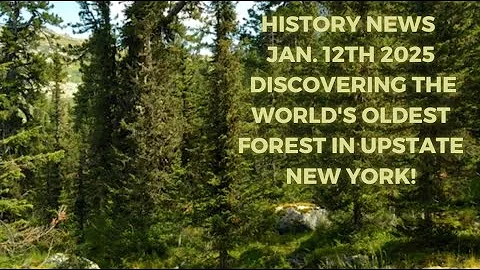 HISTORY NEWS Jan.12th 25' - Discovering the World's Oldest Forest in Upstate New York! #historynews