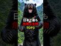 日本で最も危険な生物TOP3　 #世界  #豆知識 #雑学