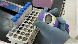 PPT II Cycle 3 Emulsions Preparations and Stabilization Practical Session