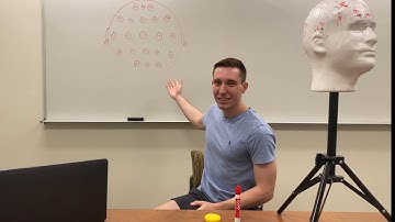How to learn the 10-20 system EEG electrode sites