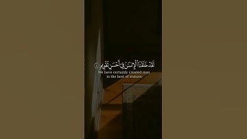 #اسلام_صبحي #تلاوة_خاشعة #ناصر_القطامي #ياسر_الدوسري #اللهم_صل_على_محمد #ادريس_ابكر