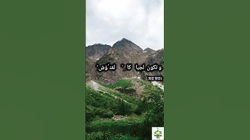 সূরা আল কারি'আ (سورة القارعة) Surah Al Qari'a বাংলা অর্থ সহ। #foryou #viral #youtube #quran #surah