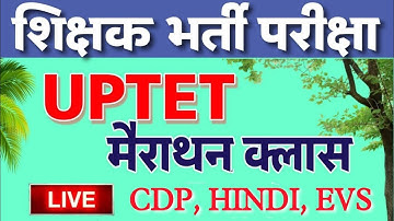 STET 2023 || STET 2023 EVS  best Class || CDP || HINDI ||  EVS || EVS Class || By Rohit Sir ||