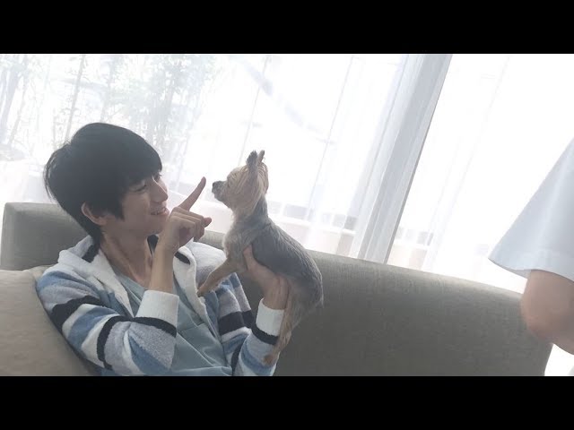 本郷奏多、愛犬とじゃれ合う!「本郷奏多カレンダー2020 every morning with Kanata 」メイキングムービー