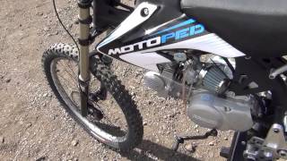 American Motopeds of Denver - AMPD