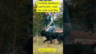 Teaching obedience & loyalty. #dog #cutedog #dogobedience #dogtraining #dogbehavior #doglover #pets Teaching obedience & loyalty. #dog #cutedog #dogobedience #dogtraining #dogbehavior #doglover #pets
