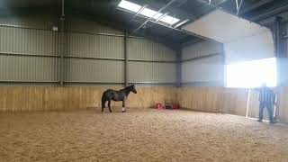 Ad ref 245610 Video 1