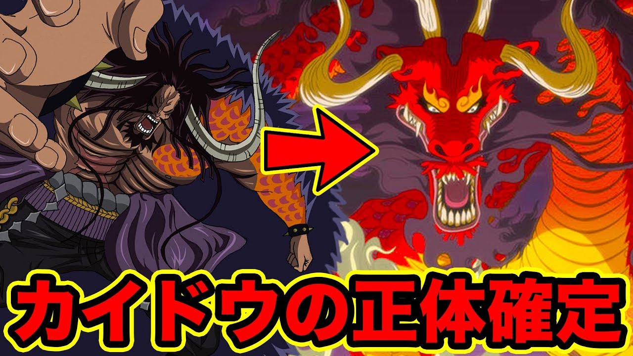 ワンピース カイドウの正体は龍で確定 悪魔の実はヒトヒトの実モデル鬼である理由 カイドウの正体が龍である伏線は最初から描かれていた One Piece 最新話 Youtube