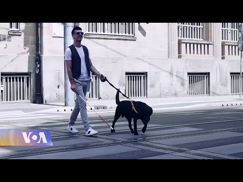 შეზღუდული შესაძლებლობები - კანონი და საზოგადოება