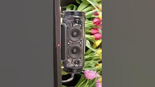 JBL Xtreme 1 vs Xtreme 2