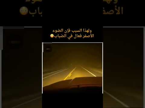 لماذا يستخدم السائقون الضوء الأصفر في الضباب الحقيقة التي لا يعرفها معظم الناس