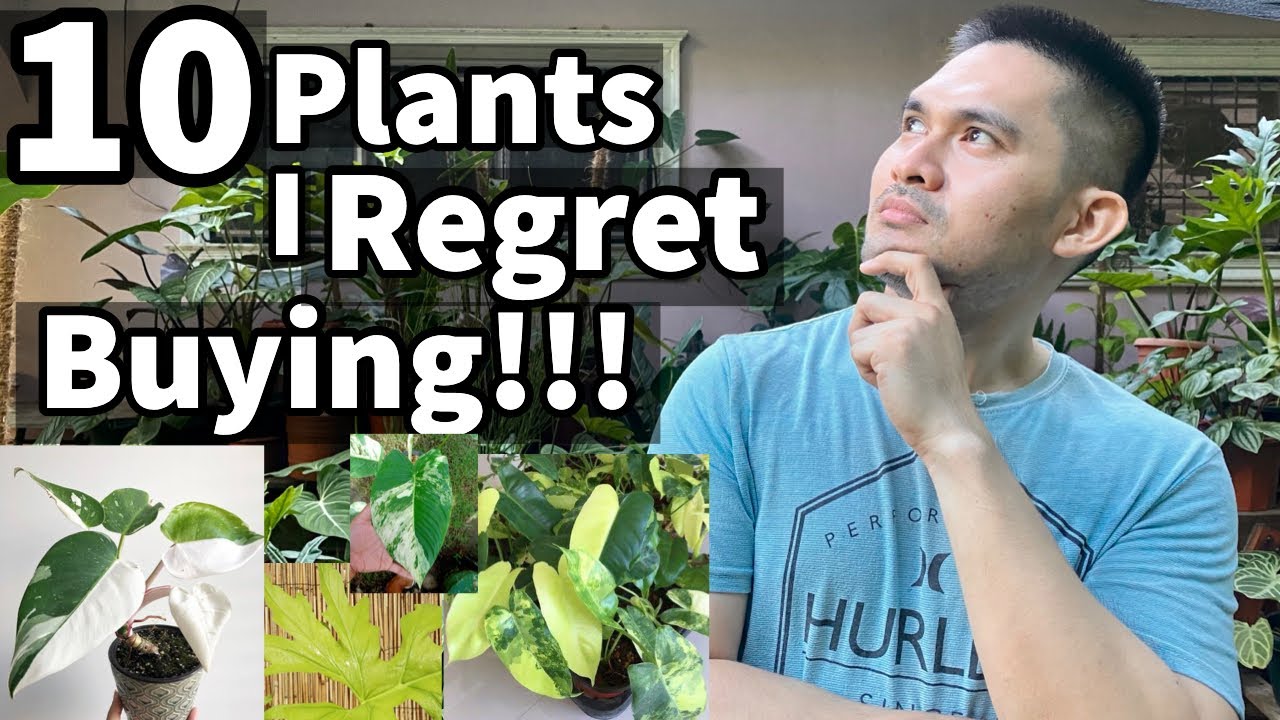 10 PLANTS I REGRET BUYING!!! YouTube