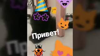 Клип Клип