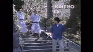 懐かしいCM　金鳥　KINCHO　アリキンチョール　虫よけキンチョール