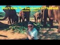 Elephant Sanctuary | Chiang Mai, Thailand