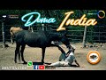 129 Doma India (Bloque 02) Estancias y Tradiciones