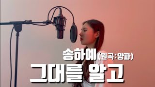 송하예(Song ha yea)-그대를 알고(Since i knew you) (원곡:양파) cover by 쏭나희