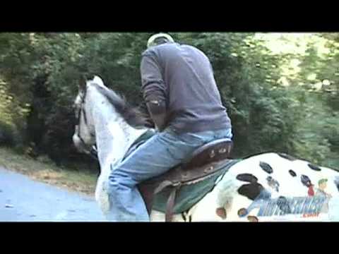 Amtrekker - #2 Ride a Horse Through a Covered Bridge