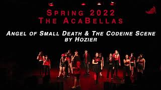 Angel of Small Death and the Codeine Scene - Hozier (The AcaBellas Cover)