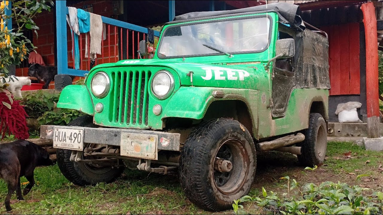 Nos encontramos una gran serpiente cazadora- Arlex Herrera 
