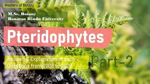 Pteridophytes: Part-2 | BHU M.Sc. Botany Entrance Exam | Answer & Explanation [2008-2020 Questions]