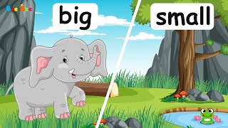 Opposite Words – Level 1   #easyopposites #oppositewords #kidsvocab #learnenglish #BeeBeeChannel