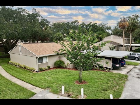 7925 Sabal Dr, Temple Terrace, FL home video tour