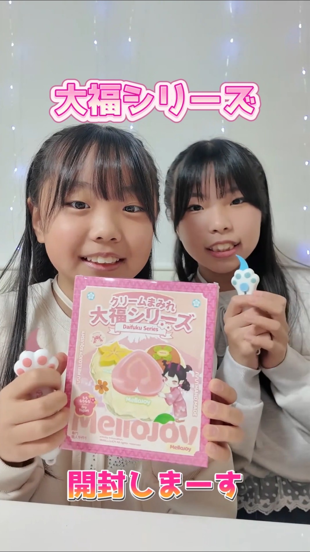 メロジョイ 大福シリーズ ブルーベリー Mellojoy メロジョイ