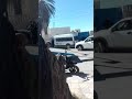 القصرين اليوام القصرين اليوام