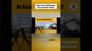 Nazi Era Roots of Today's Gun Laws Explained #shorts