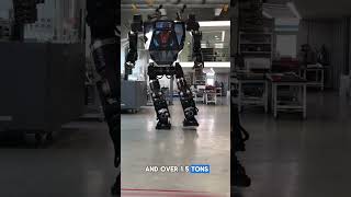 The Human Controlled Giant Mech Suit