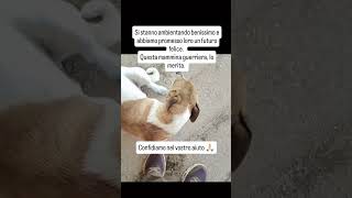 🆘🙏❤️ X Info Instagram @moni.love.animals