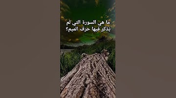 ما هي السورة التي لم يُذكر فيها حرف الميم؟