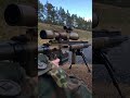 Sniper G28 DMR German Army