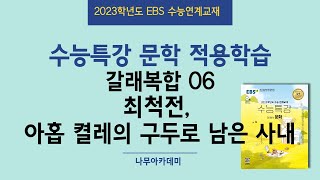 2023 EBS 수능특강 문학 2. 적용학습 갈래복합 06 최척전, 아홉 켤레의 구두로 남은 사내 핵심 강의