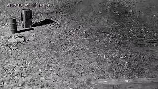Orb activity from back yard cam