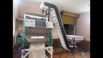 Cardamom Sortinging Machine | BITS Intelligent Sorter 🌿⚡ Call +91 8248461039
