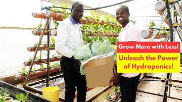 The Secret to High Yield Farming: Hydroponic Greenhouses Demystified