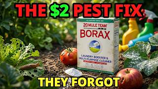 Borax Garden Secrets 🌿 The Cheap Pest Fix Big Brands Never Talk About | Rogue Roots